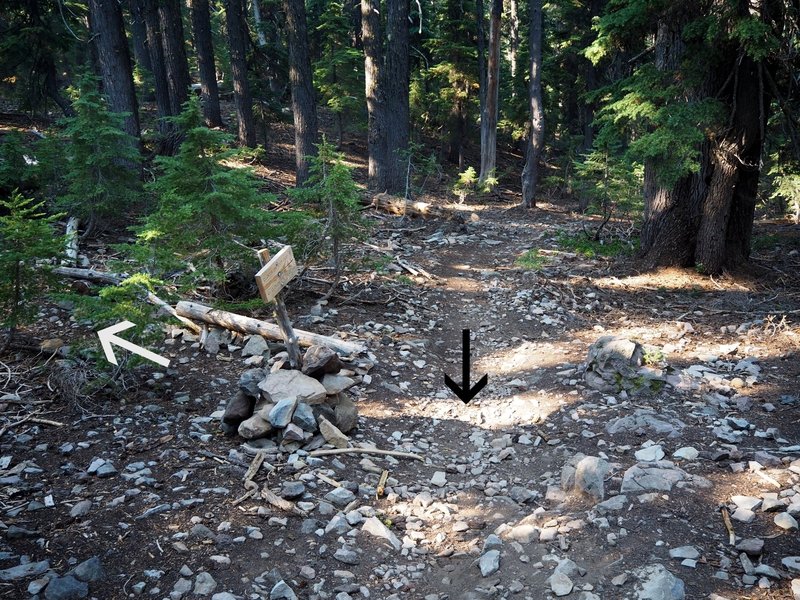 Looking downhill at the signed junction of the Clover Creek Cut-off Trail (white arrow) and the Clover Creek Trail (black arrow).