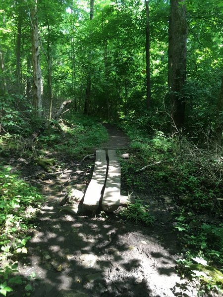 Example of the many creek crossings in the Glen