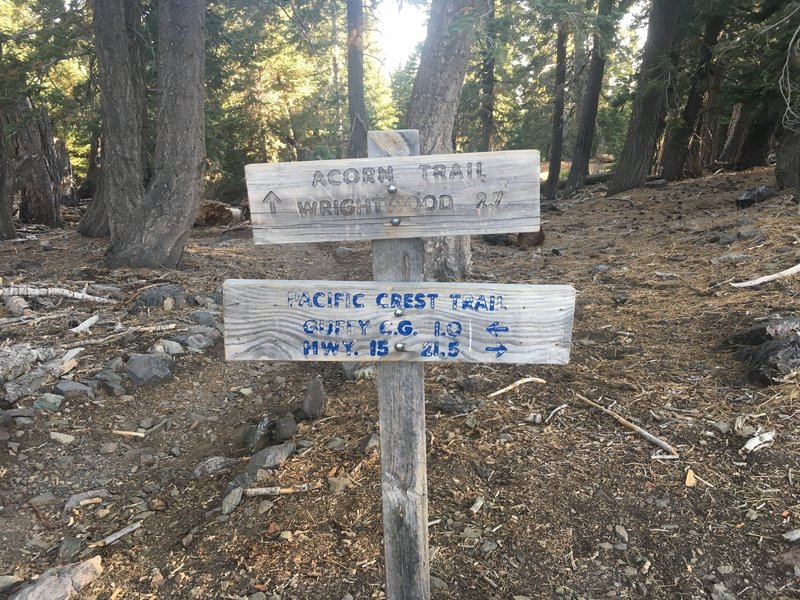 Top of Acorn Canyon trail