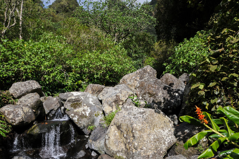 Small falls on Ravine Savon along the final slog up to the trailhead