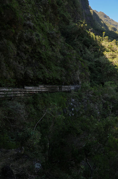 Another section of boardwalk carved into the cliff face