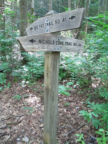 Nichols Cove Trailhead