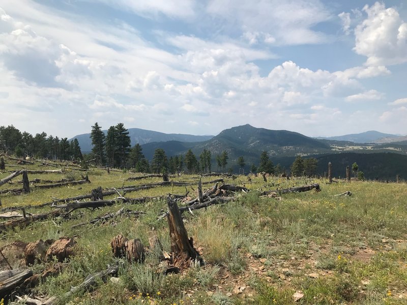 Top of Ginny Trail looking out at RMNP.