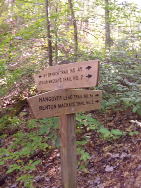 Hangover trailhead on Ike Branch