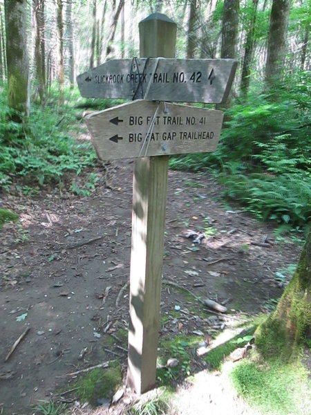 Big Fat TrailHead