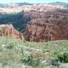 View of the Breaks and wildflowers