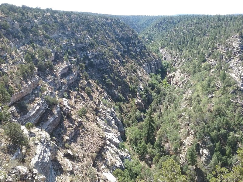 View of  Walnut Canyon.