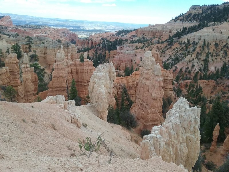 View of some of the rock formations.