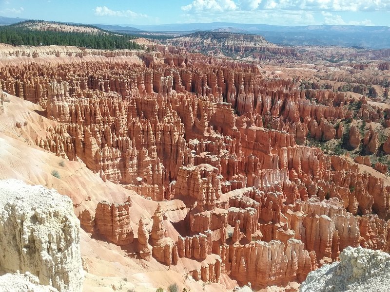 View of the hoodoos