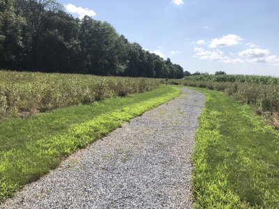 Walking towards the trail from the parking lot