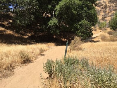 Trail split - this is where you want to turn sharp right to the trail post that says 'Trail 1.1mile'.