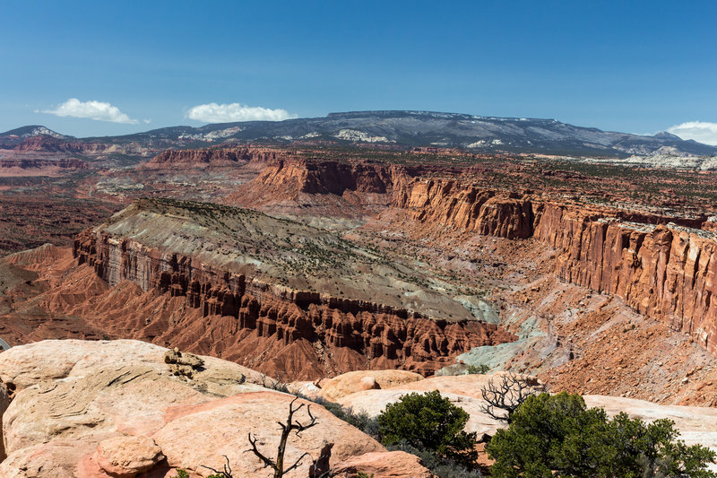 Mummy Cliff from Navajo Nobs