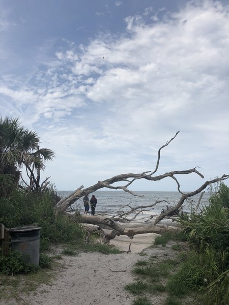 Where the trail opens out onto the beach