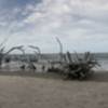 panorama view of the beach