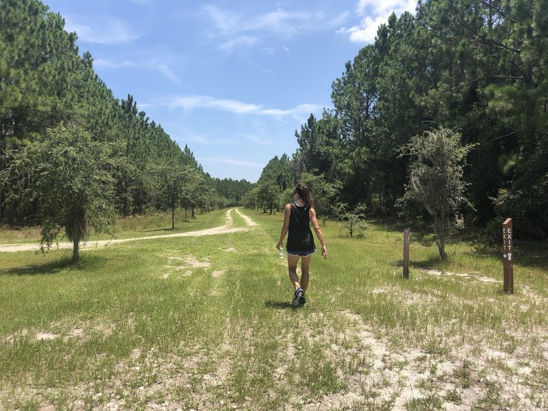 wide road that can be walked on and sometimes intersects through the trail