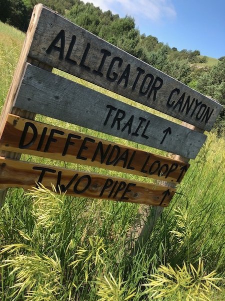 Cedar Point Biological Station Trail Signs