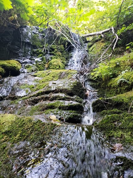 Water feature