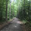 Lincoln Woods Trail on a beautiful day