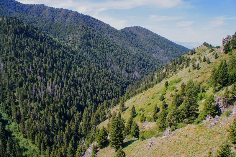 The stark difference between a south and north facing slope