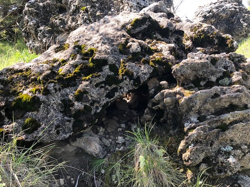 One of the many boulders found along the Geology Trail