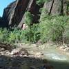 View of the Virgin river