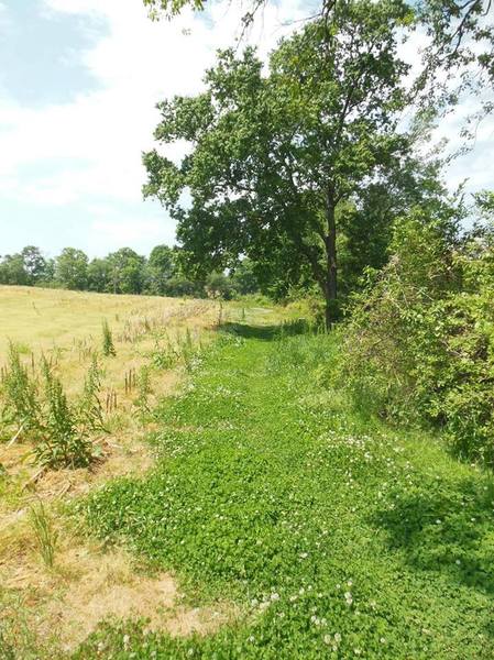 Along the edge of the first field.