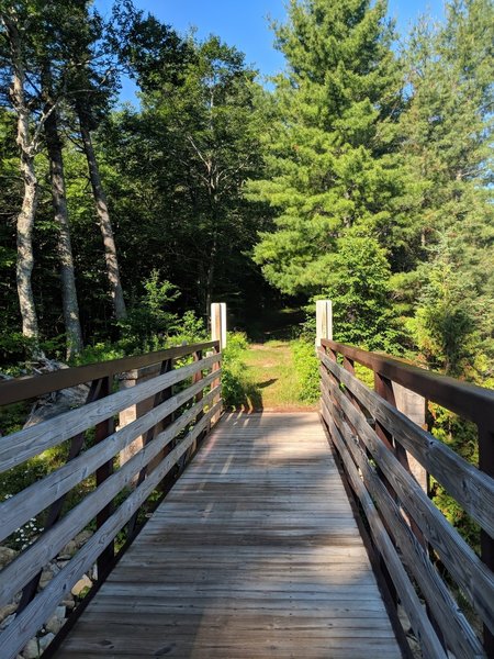 Beautiful bridge to North Beach