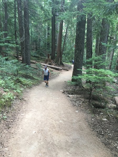 Typical trail section... wide and smooth.