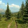 Mountains to the southwest come into view as Pobotkan Pass Trail climbs through meadows dotted with firs.