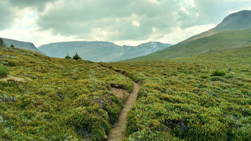 In the high meadows, approaching Pobotkan Pass, more mountains to the east come into view.