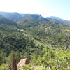 "canyon" spur trail leads back into this area