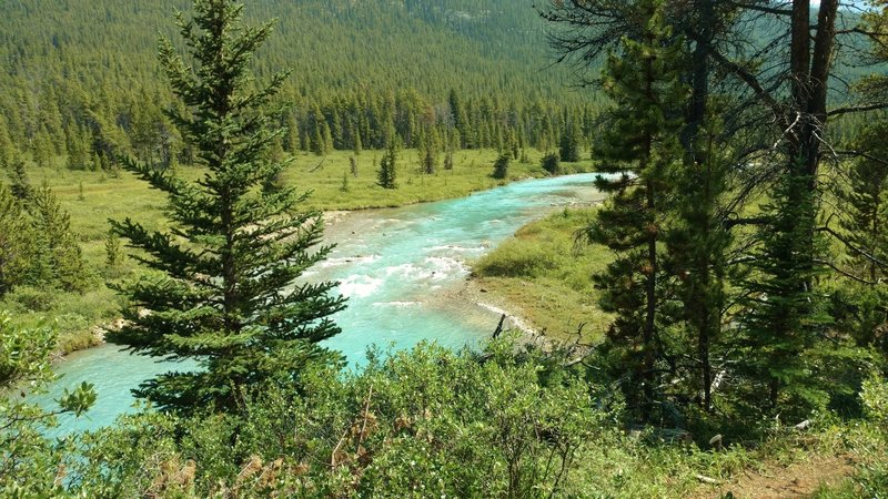 The beautiful turquoise Brazeau River, seen from the South Boundary Trail. The turquise color is from the glacial silt in the snow runoff  that feeds the Brazeau River.