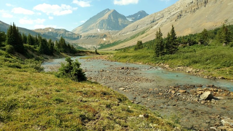 The Brazeau River in the meadows at the base of Nigel Pass, with Nigel Peak (and its subpeaks) in the distance, as seen looking upstream (south-southwest).