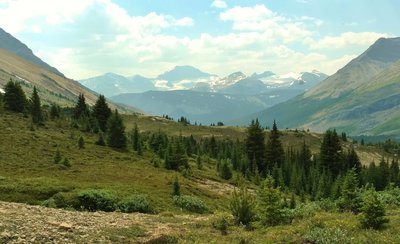 Mountains, snowfields, and glaciers to the south, seen from meadows high on the trail to Nigel Pass from the Nigel Creek Trailhead, almost to the pass.