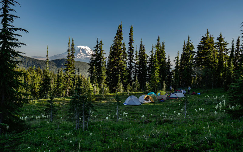 Camping with Mt. Adams in the background.