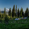 Camping with Mt. Adams in the background.