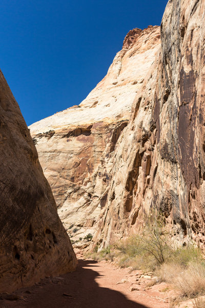 The towering walls of Capitol Gorge