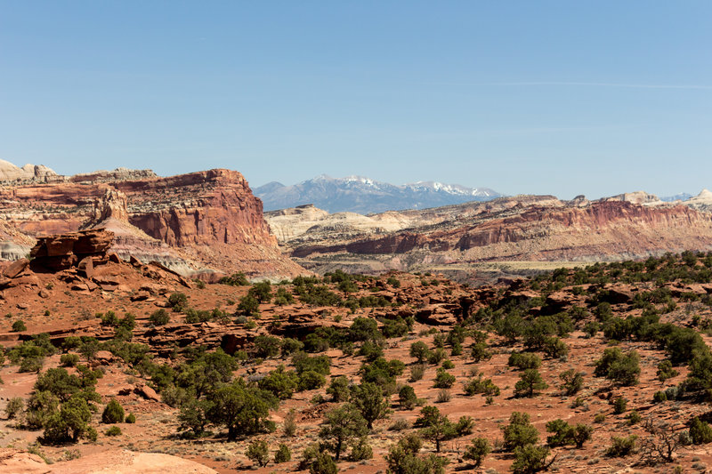 Henry Mountains and Navajo Nobs from Panorama Point.