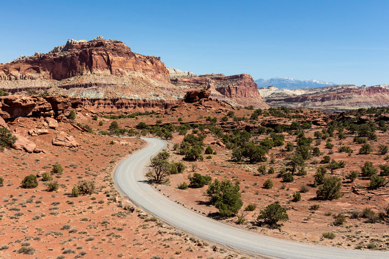 Navajo Nobs from Panorama Point.