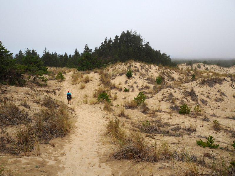 Crossing the dunes on the Threemile Lake Trail