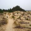 Crossing the dunes on the Threemile Lake Trail