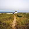 End of the trail on the Oregon coast.