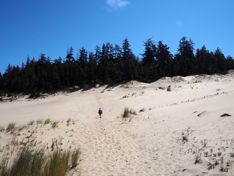 Crossing the dunes