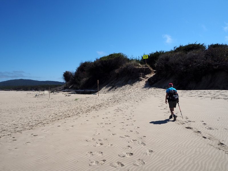 Where the Tahkenitch Dunes Trail reaches the beach.