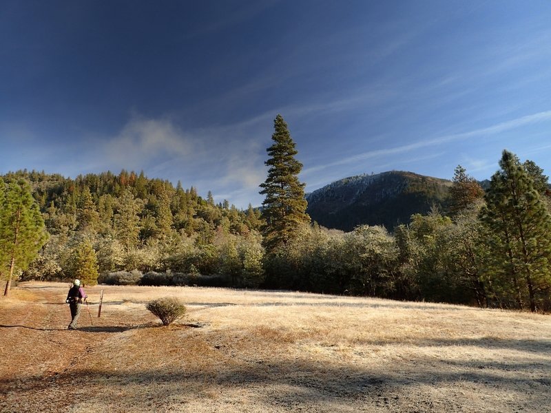 Passing through the meadow