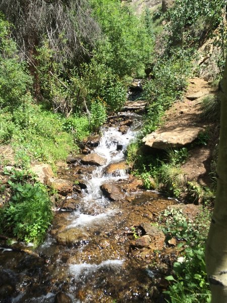 Rex Falls Trail