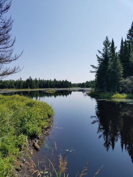 Beautiful view of the beaver pond you pass along the way.