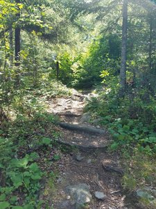 A look at the trail.