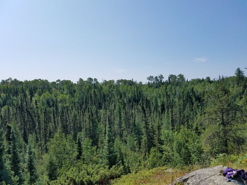 View of the Kabetogama Forrest from the ridge.