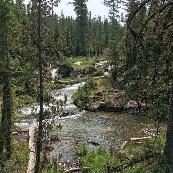 Paulina Creek